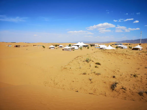 20190605097796.jpg zhongwei190604d.jpg